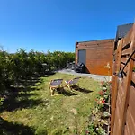 Baltic Lark 30m2, Taras Zadaszony 27m2 Ogrodek Klimatyzacja *